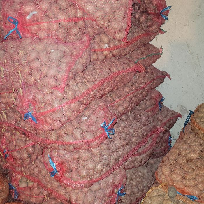 Cartofi de sămânță și consum