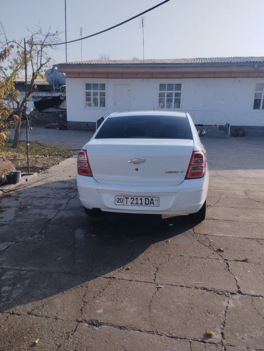 Кобилт 2014 краскаси Тоза