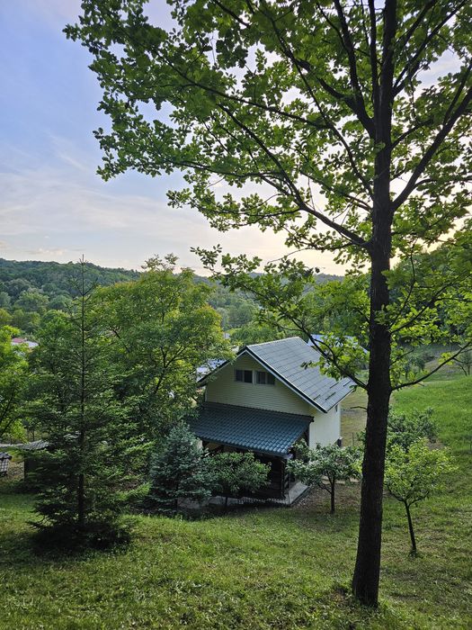 Casă de vacanță cu teren 4000 mp -  Provita de Sus