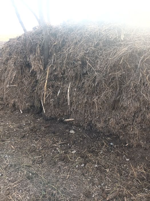 Gunoi de grajd  super pret