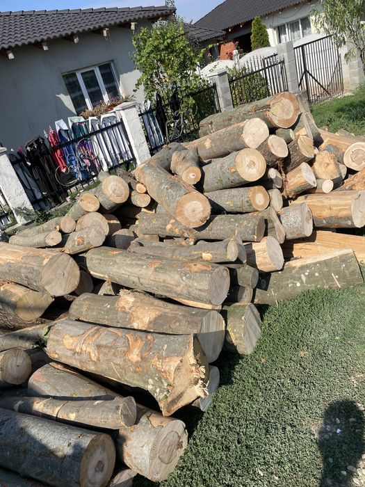 Vindem lemne de foc esențe tarii transportul gratuit