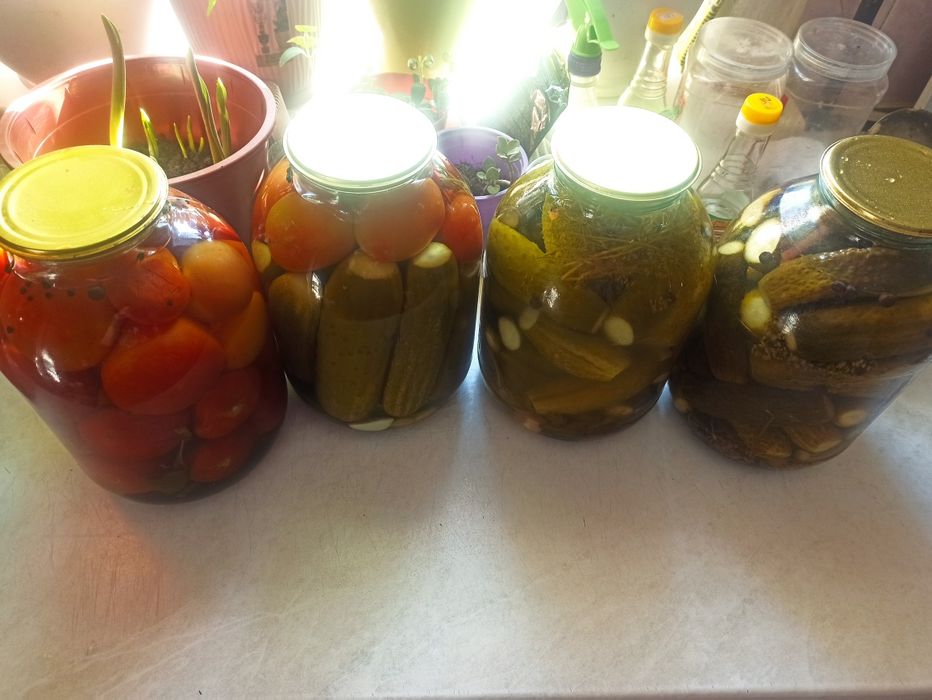 Продам соленье 2025 года