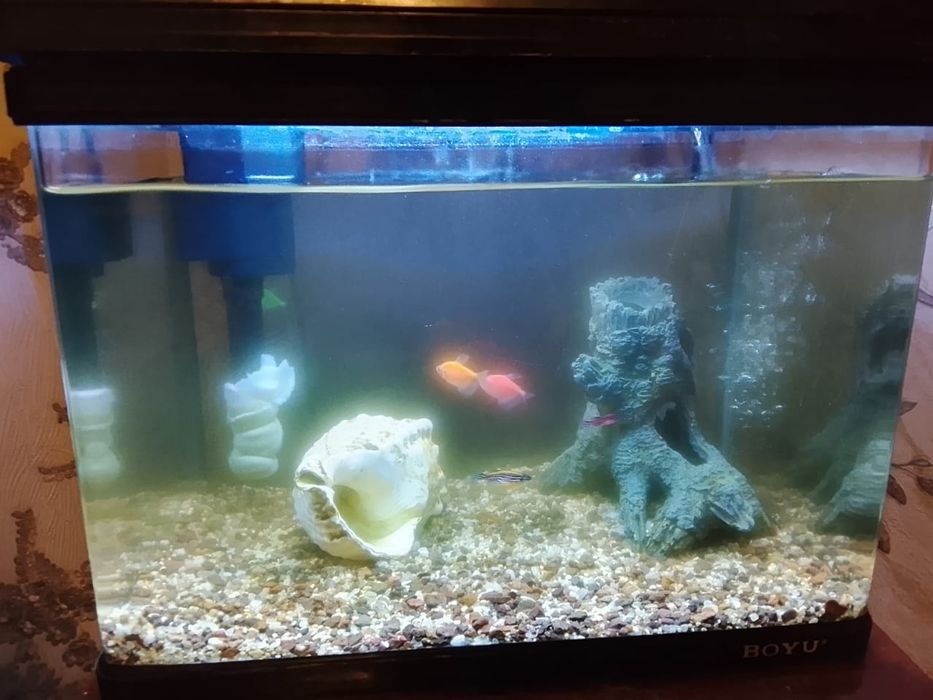 Продам аквариум 20л BOYU
