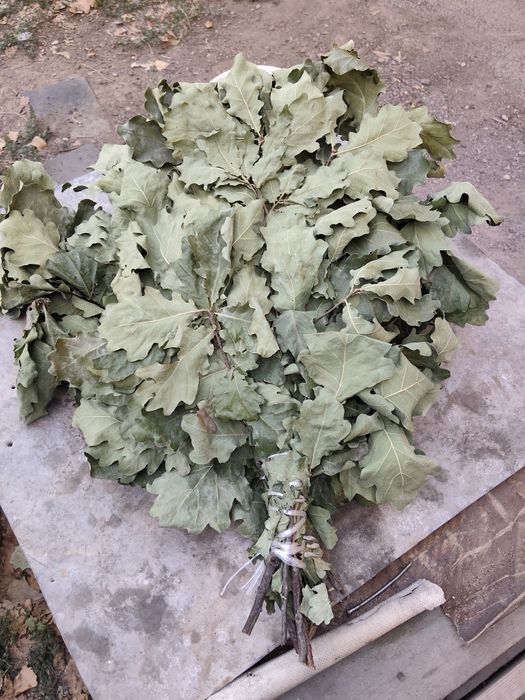 Продам дубовые веники для бани