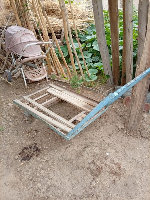 Тачка морожений холодильнике