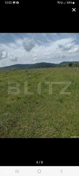 Teren De Vanzare Sesul Jelni, 5 Hectare