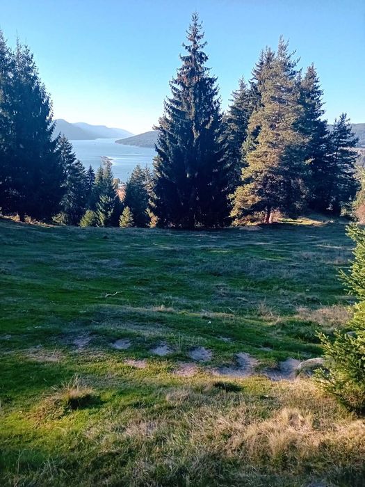 Продава се Парцел в Доспат - 3000 кв.м за 54 €/кв.м - Снимка #3