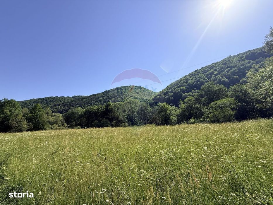 Teren Scrind-Frasinet 2 ha