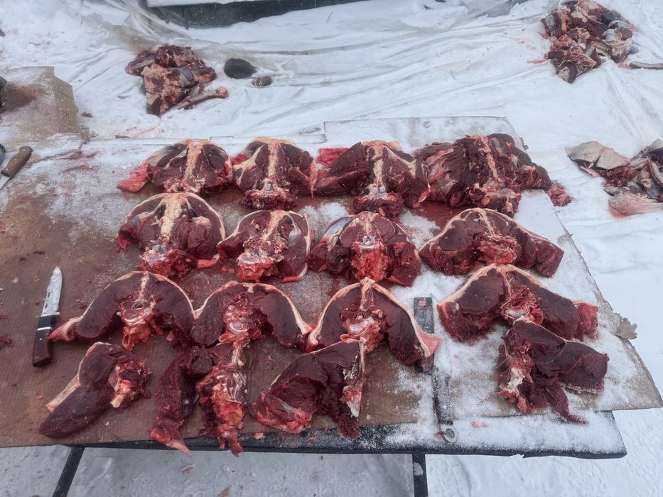 Мясо конины! Жылқы еті аяқтап