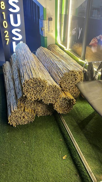 Декоративный камыш !!!