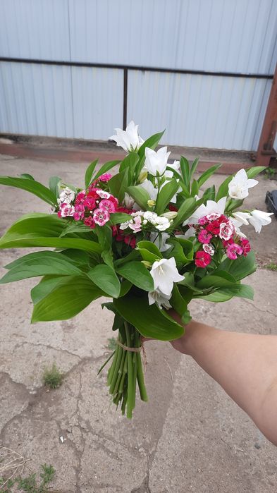Продам букет с турецкой гвоздикой