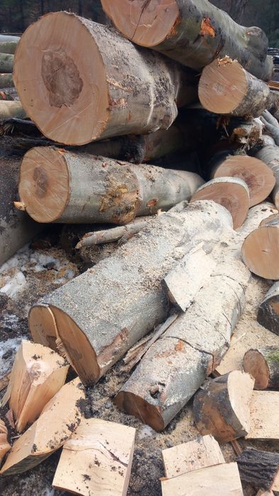 Vând Lemne de foc fag crepatura sau rotunde groase avem și raritura !