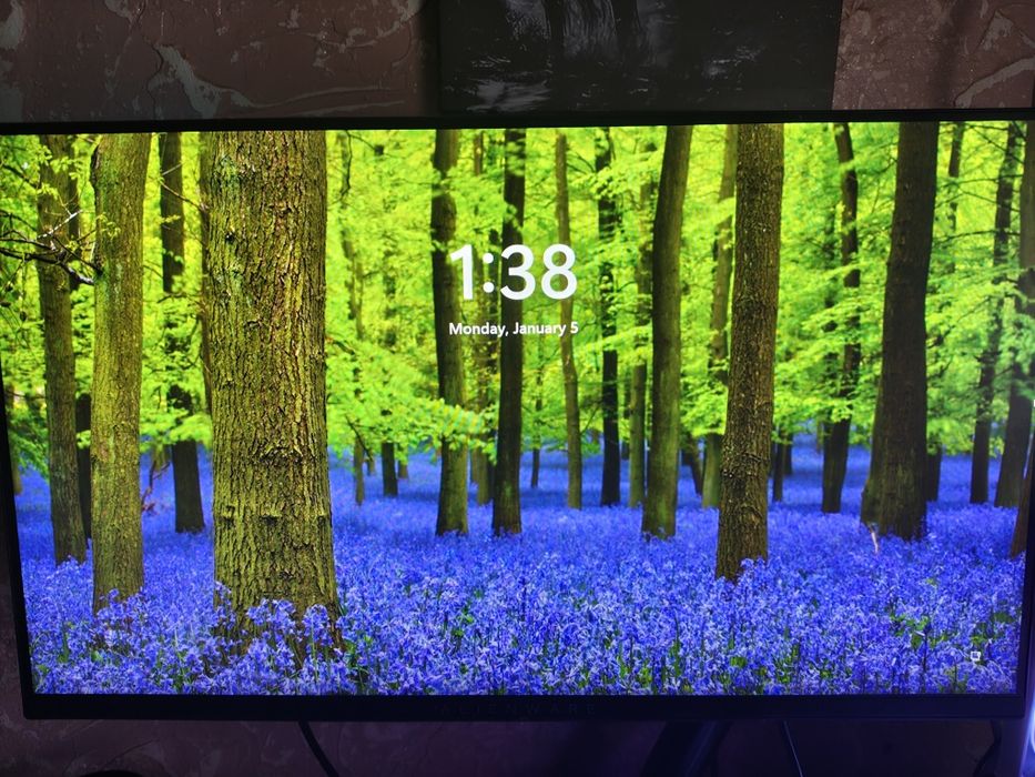 Monitor alienware 240hz +brat monitor