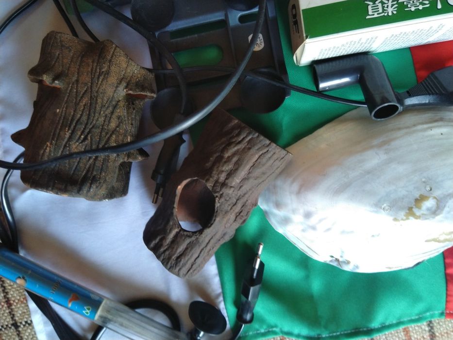 Аквариумна Декорация, Аквариумни помпи (филтри) и Нагреватели