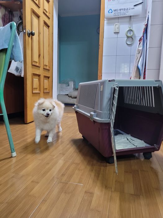 Переноска для животных