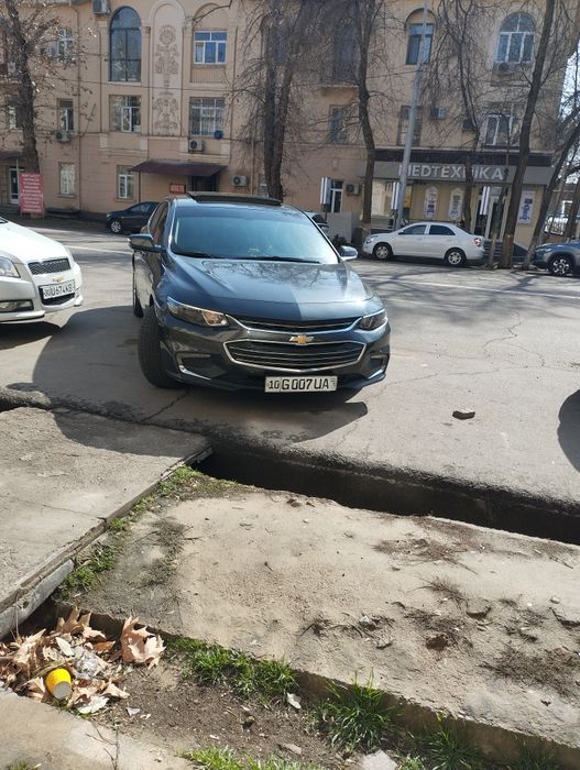 Taksi xizmati uzoq safar tog' dam olish maskaniga oborib obkelish