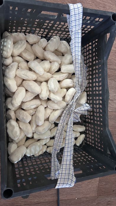 Продам Курт свежий.