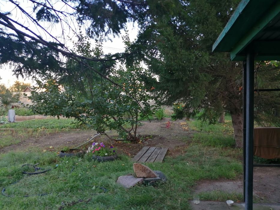 Участок. Около дома малютки