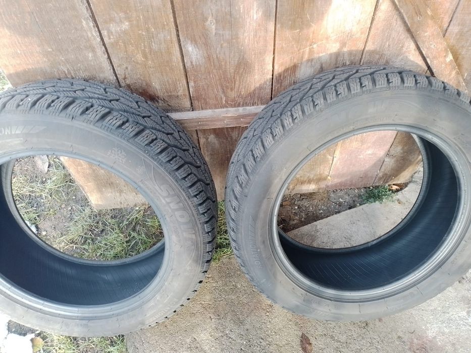 Cauciucuri Auto Firma Riken 225 55 r17