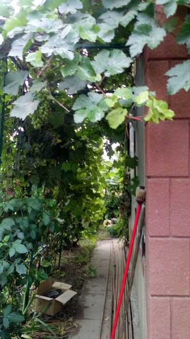 Продам дом 120 м2, 16 соток