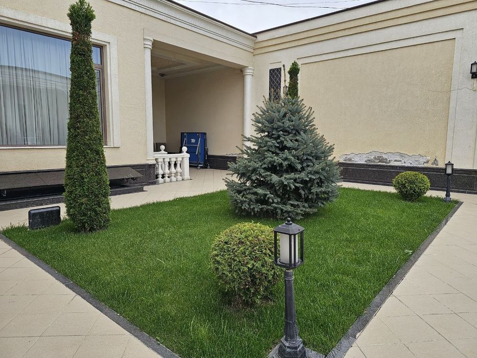 Gazon Toshkent - Газон Тошкент - Живой Руллонный Установка Свое Поле!