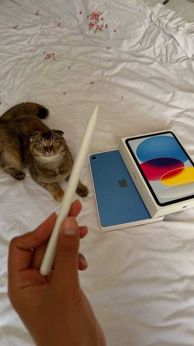 Apple iPad 10 gen WiFi состояние идеальное, как новый