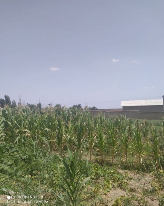 Nazarbek Namangan mahalla 6 sotix yer