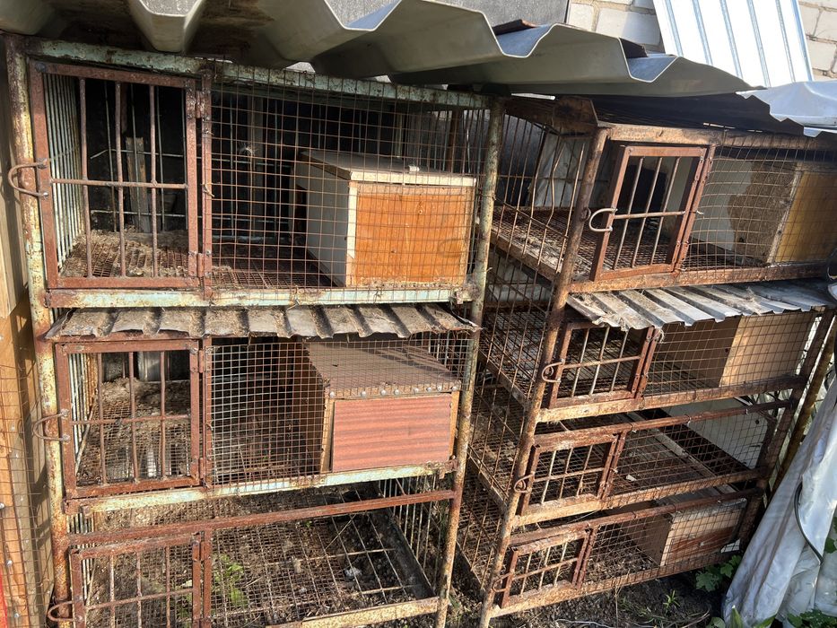 Клетка для кроликов