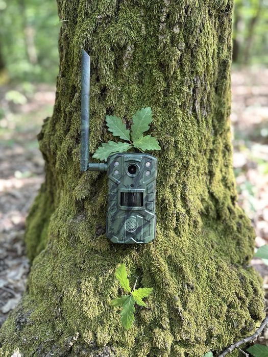 Camera vanatoare live   Forestvision Live C1  2025 4G originala