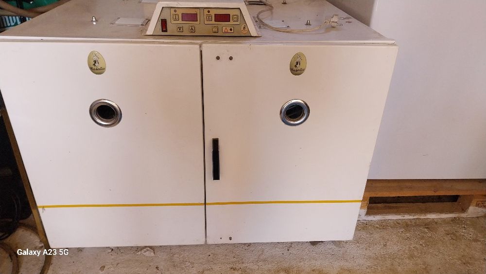 Incubator pentru oua de struț