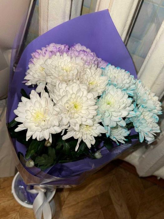 Цветы хризантема