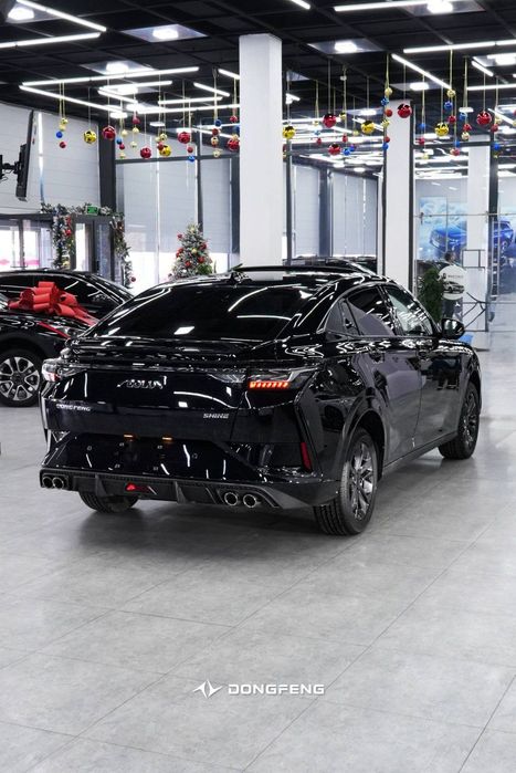 Dongfeng aeolus shine