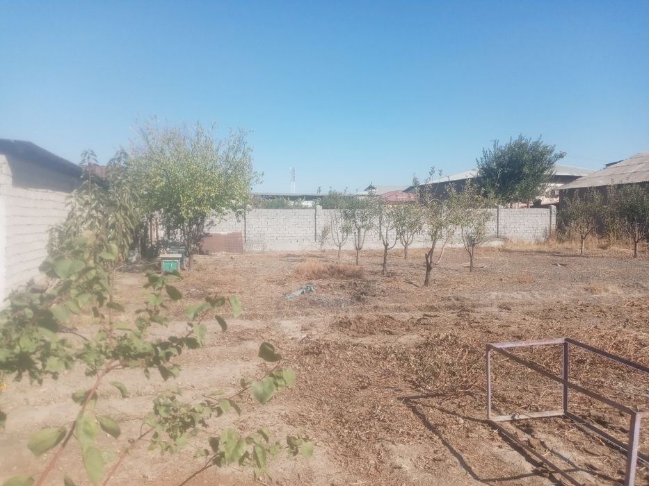 yer sootiladi yer maydo i 8 sotik 15000 minda sotigiga soravomiz