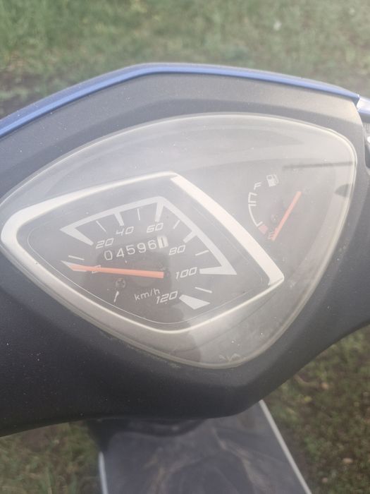 Продам радость лета