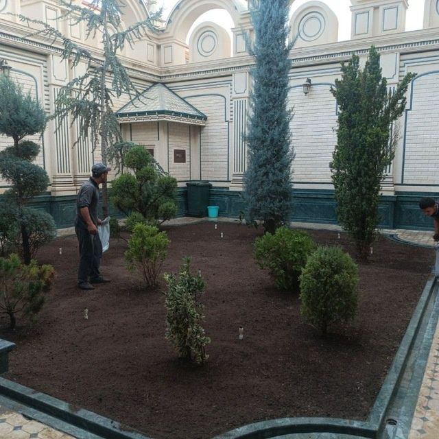 Gazon ekish tayor gazon bosish archa kesish va archa dorilash