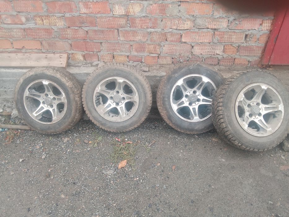 Продам арбузы титанки