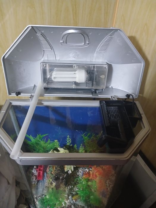 Аквариум без рыбок