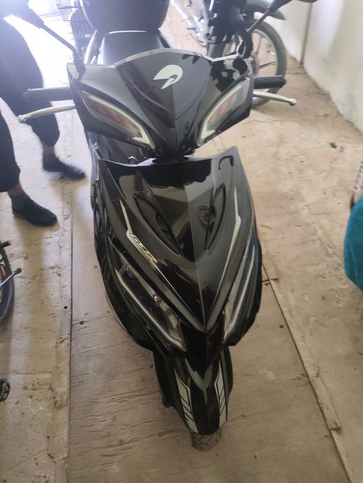 125.                    Skutor drongo