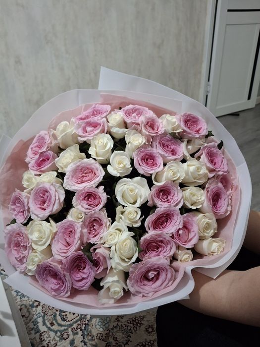 Продам цветы сегодняшние