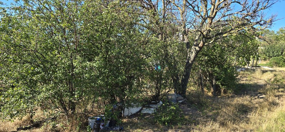 Продава се Къща в Варна, Младост 1 - 20 кв.м за 1750 €/кв.м - Снимка #5