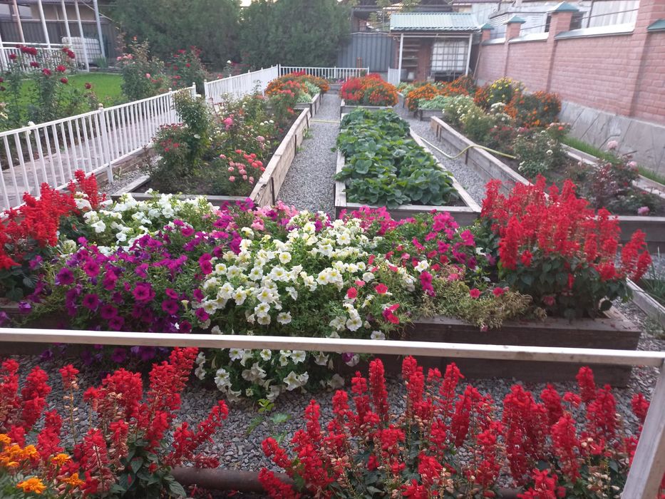 Продам дом в п.Коксай