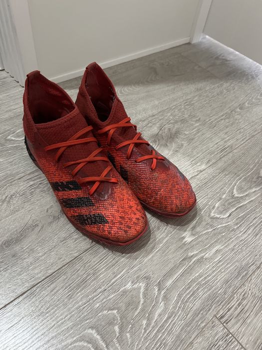 Сороконожки предатор, красные