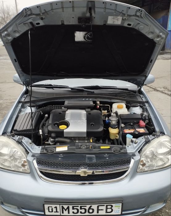 Lasetti 2013 delfin rang