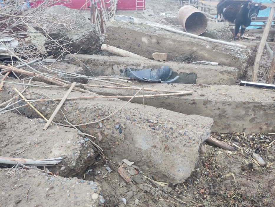 Бетон үйден шыққан