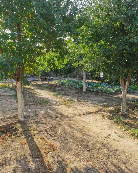 Продава се Парцел в с. Бенковски, Област Пловдив - 817 кв.м за 64 €/кв.м - Снимка #1