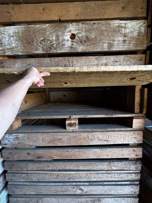 Lazi pentru cartofi,ceapa etc.