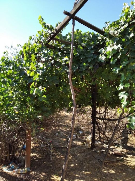 Частный дом.                     .