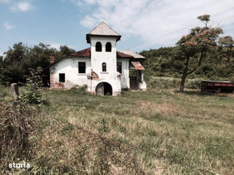 Teren de 53.000 mp cu vita de vie + Conac boieresc