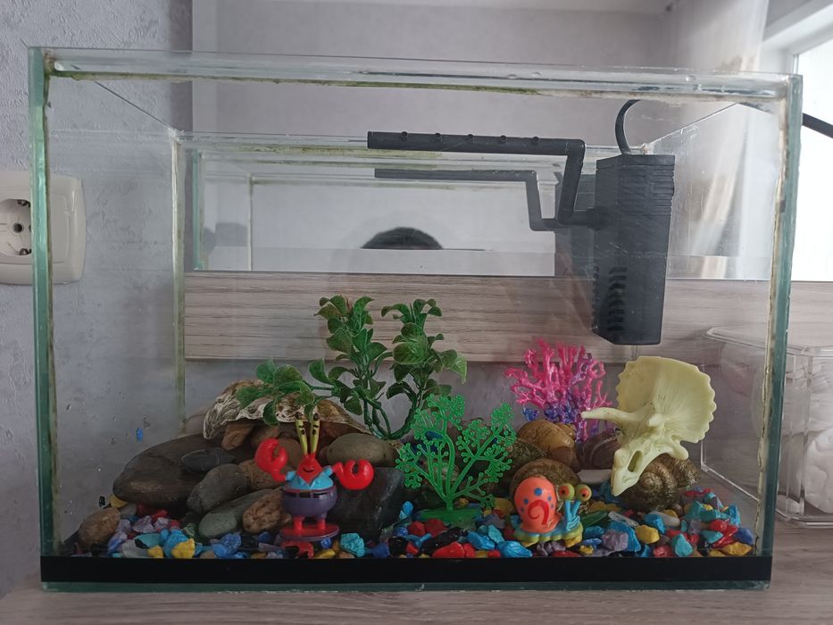 Продам аквариум 10л