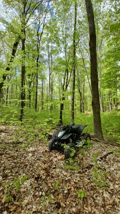 Vând kymco kxr 250